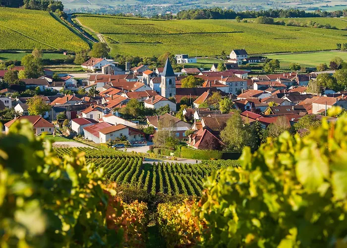 Le Saint Nicaise Apartment